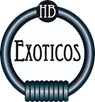 exoticos hb